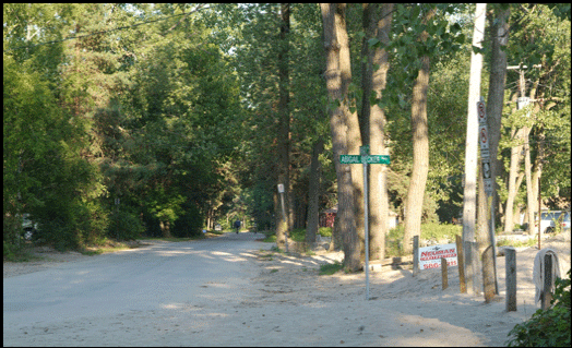 Photograph of roads leading to cottages on Long Point Beach, investment property on the Gold Coast of Ontario, on Lake Erie