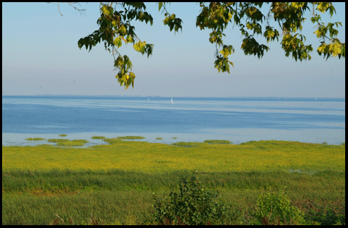 photograph of Lake Erie from Port Rowan, on the Gold Coast of Ontario, on Lake Erie