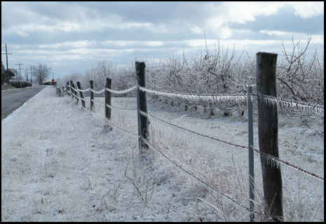 Photograph of winter ice on fence in Simcoe, on the Gold Coast in southern Ontario