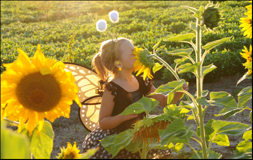 Photograph of girl smelling flower in Simcoe, on the Gold Coast in southern Ontario
