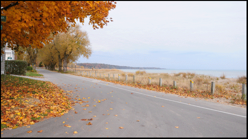 Photograph of road in Turkey Point on the Gold Coast in Southern Ontario