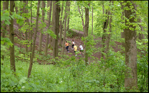 Photograph of runners in forest in Turkey Point on the Gold Coast in Southern Ontario