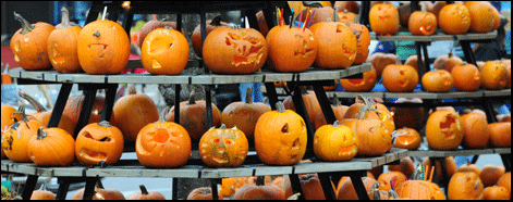 Photograph of pumpkins in Waterford, Ontario, on the Gold coast, in Ontarios south Coast