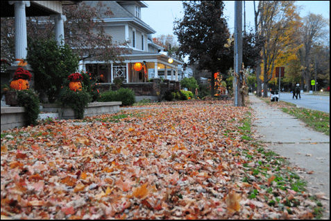 Picture of fall leaves in Waterford Ontario,  investment properties for sale on the Gold coast, in Ontarios south Coast
