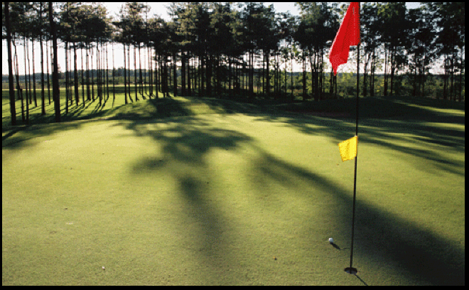 Photograph of golf course green in Renton, on the Gold Coast in southern Ontario